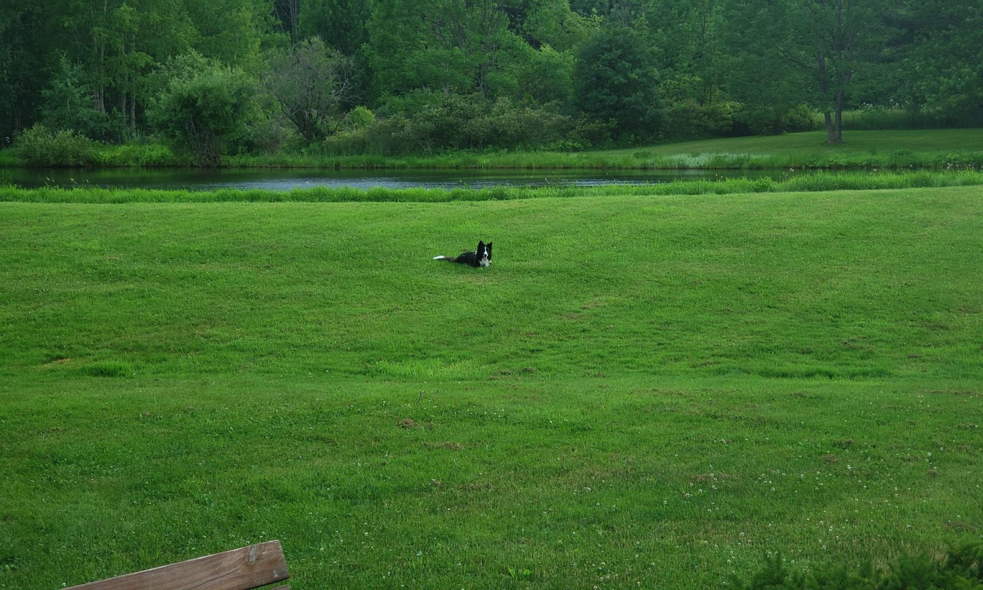 Noble House Farm